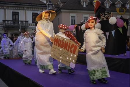 Tradicionalni Kamniški karneval 2025 (79)